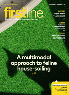 Firstline November/December 2020