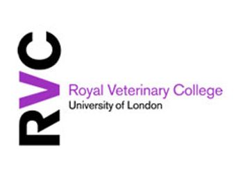 veterinary_rvc_wd-580696-1384524190517.jpg