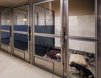 AVC_DogWard_450.jpg