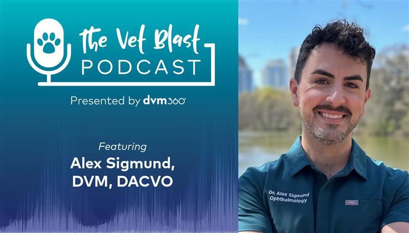 Dr Alex Sigmund