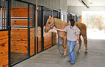 veterinary_renfro_flash-770268-1404223513020.jpg