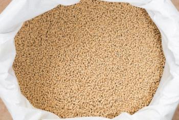 Animal feed