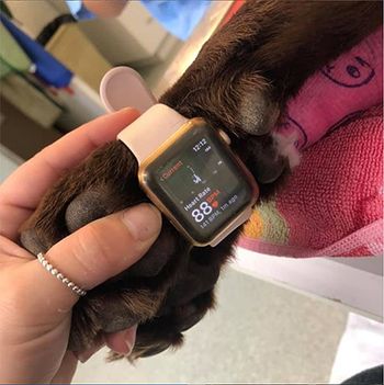 smart-watch-tip-450.jpg