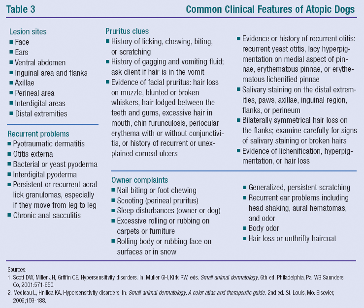 Miliary dermatitis dogs 2025