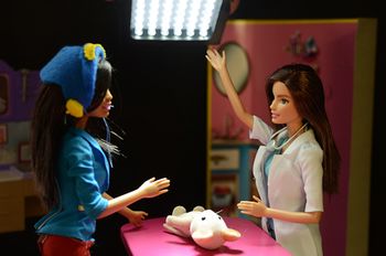 veterinary-pic1-primm-450.jpg