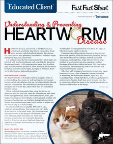 Heartworm Disease