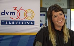 ACVC 2019: Why your veterinary practice should go needle free