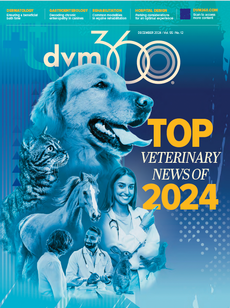 dvm360 December 2024