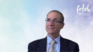 Heather E. Lewis interview