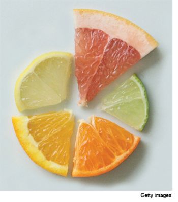 citrus_310_350-668728-1384318371468.jpg