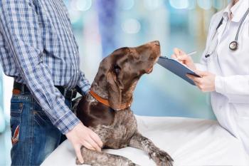 UK caps fees veterinarians can charge for written prescriptions