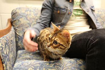 Veterinary-fridgey_450_authorsupplied.jpg