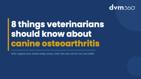 Eight things veterinarians should know about canine osteoarthritis