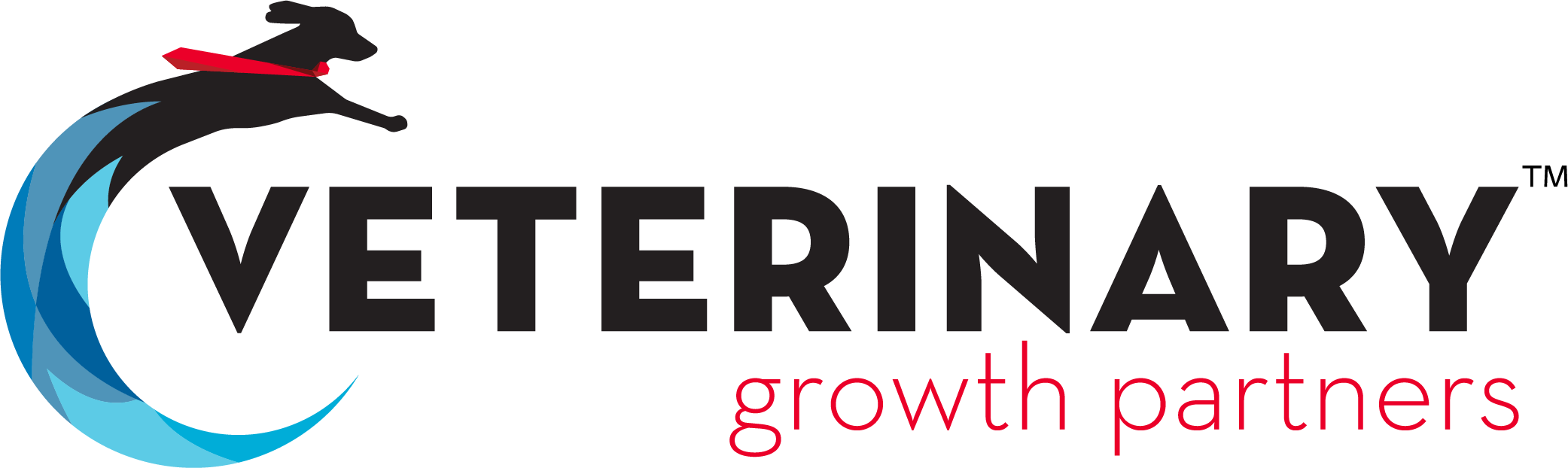 Veterinary Growth Partners logo