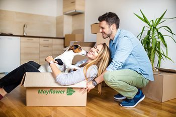 veterinary_2019_Mayflower_Mover_Insights_Survey.jpg