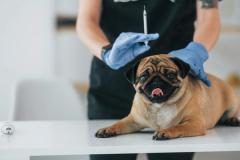 Photo: standret/Adobe Stock
