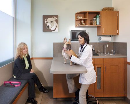 Is 1,400 square feet too small for a veterinary clinic?