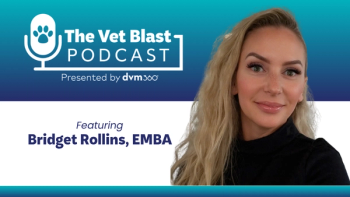 Stuck in the red zone? How veterinary teams can reset after conflict