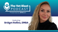 Stuck in the red zone? How veterinary teams can reset after conflict