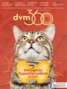 dvm360 June 2022