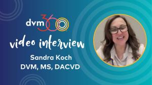 Creative solutions for feline atopic dermatitis