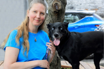 WSAVA and Hill's certificate in professional development and personal wellness