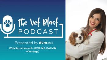 Top Vet Blast Podcast episodes of 2023: #4