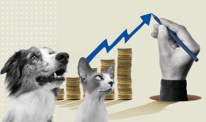 The Rising Costs of Veterinary Care: Challenges and Pathways to Greater Access