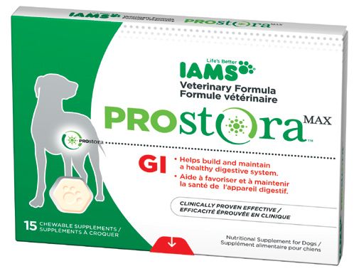 Iams probiotic sales