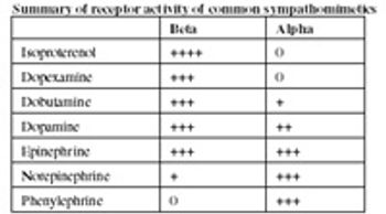 table4_t-565761-1384604940791.jpg