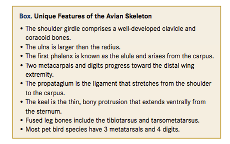 Purdue 2017: Practical Tips for Avian Radiography