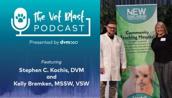 Exploring veterinary social work