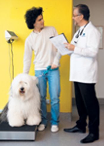 veterinary_weight_dog_heavy_overweight_vetm0411_200475331-715425-1384192029994.jpg