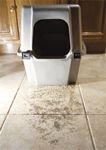fl0110_020_litter-box-653755-1384334336300.jpg