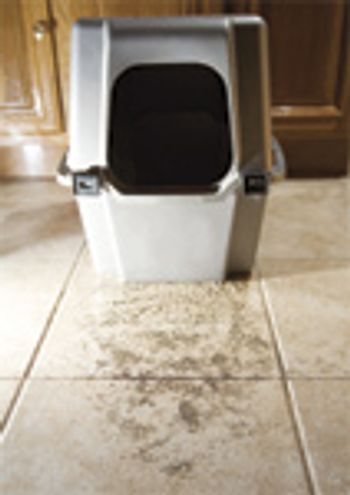 fl0110_020_litter-box-653755-1384334336300.jpg