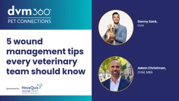 5 wound management tips every veterinary team should know