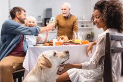 Tips for keeping pets safe this Thanksgiving 