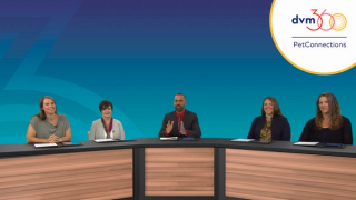 zoetis reference laboratories panel discussion pet connections