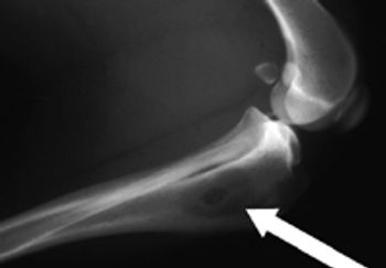 Figure3-632165-1384413418006.jpg