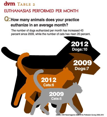 Veterinary practices performing more euthanasias despite
