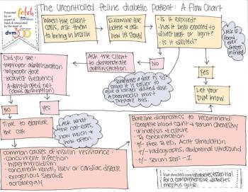 veterinary-diabetes-flowchart-full-size-web_1000.jpg