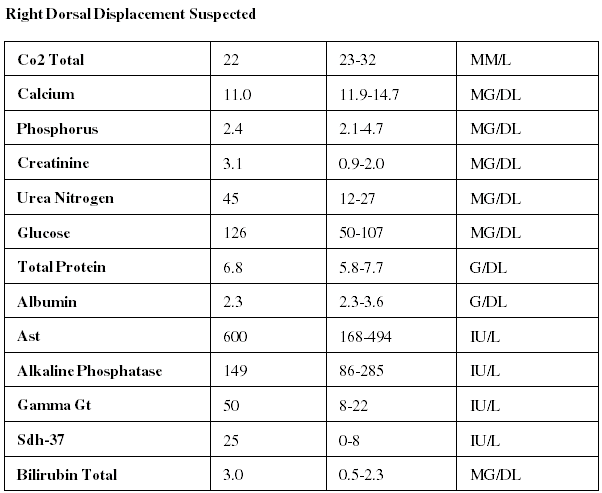Reviewing the chemistry panel: Kidney cases (Proceedings)
