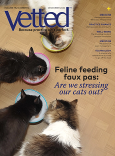 Vetted December 2020