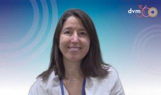 Most important advice this veterinarian received in rehabilitative medicine