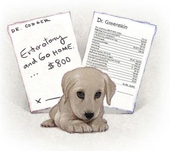 sketchpup_450.jpg