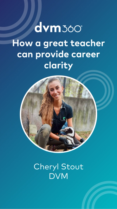 How a great teacher can provide career clarity