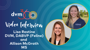 VISHDAAL and diagnostic challenges in senior cats