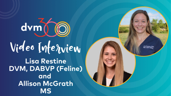 VISHDAAL and diagnostic challenges in senior cats