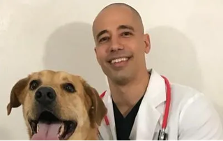 Telehealth taking veterinary medicine by storm