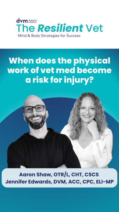 When does the physical work of vet med become a risk for injury?
